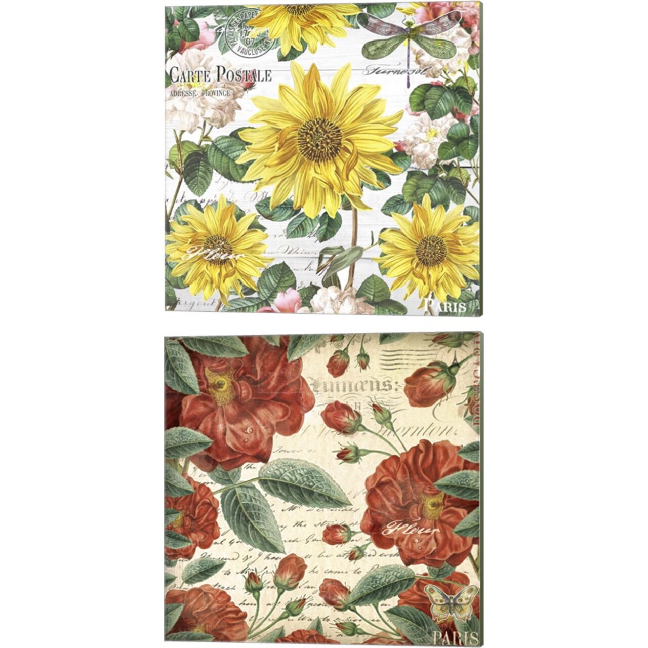 Paris & New Orleans Garden by Mary Jane Creative 14" x 14" Canvas Wall Art (Set of 2)